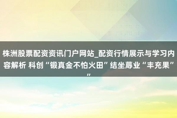 株洲股票配资资讯门户网站_配资行情展示与学习内容解析 科创“锻真金不怕火田”结坐蓐业“丰充果”