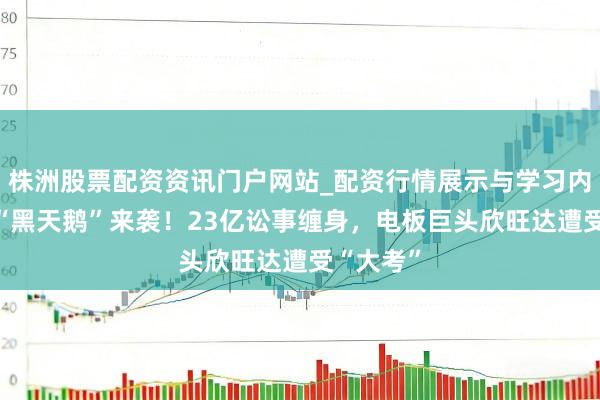 株洲股票配资资讯门户网站_配资行情展示与学习内容解析 “黑天鹅”来袭！23亿讼事缠身，电板巨头欣旺达遭受“大考”